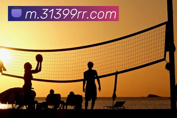 App界面